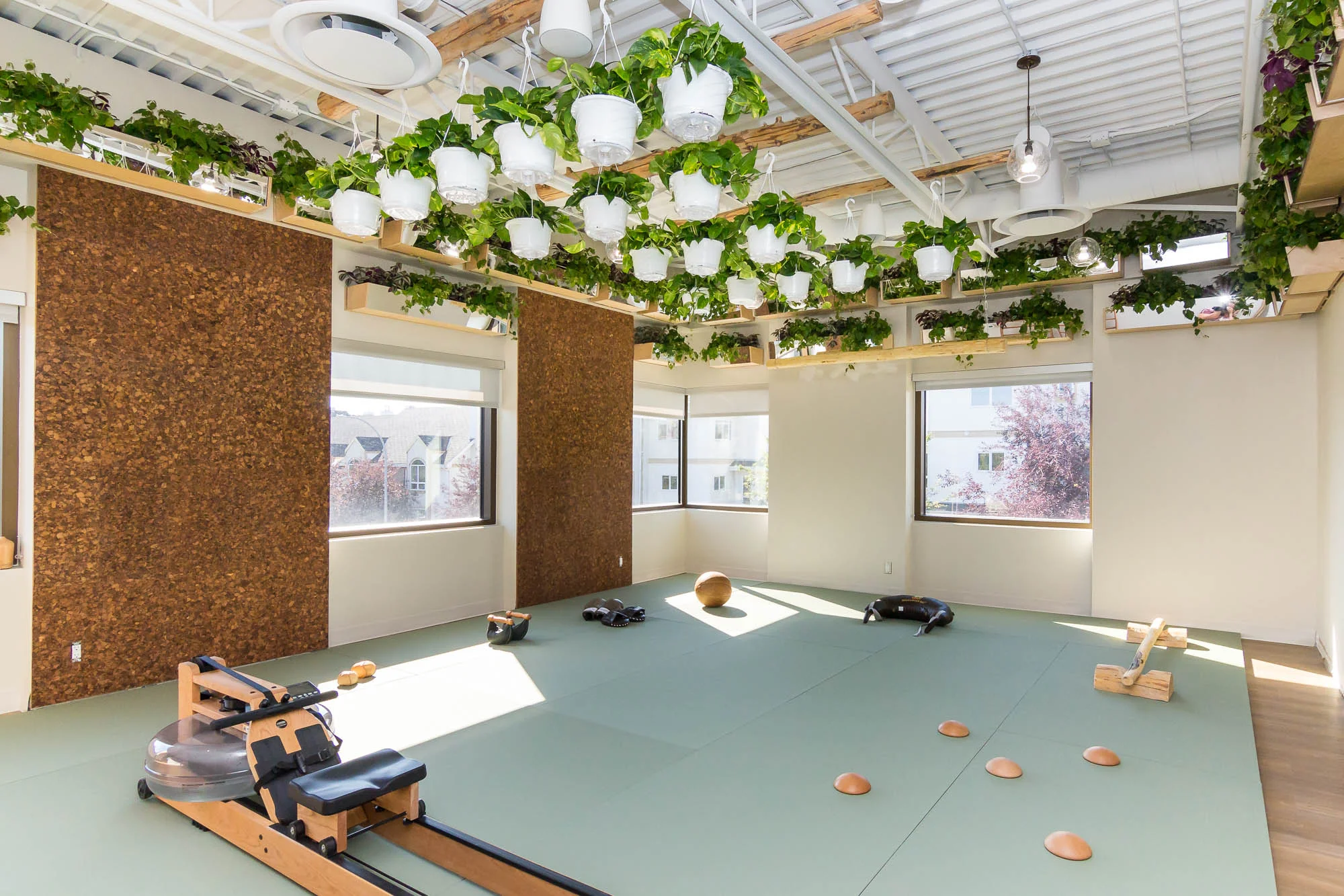 Indoor Air Quality in Gyms biofilico wellness interiors